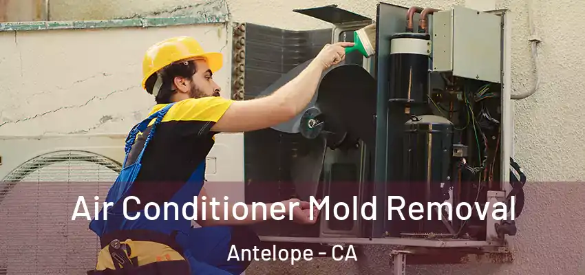  Air Conditioner Mold Removal Antelope - CA
