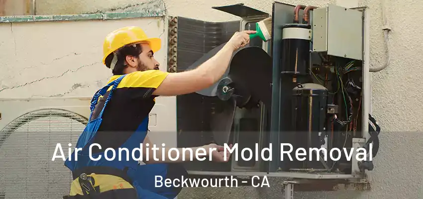  Air Conditioner Mold Removal Beckwourth - CA