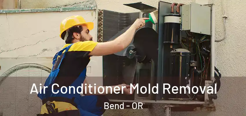  Air Conditioner Mold Removal Bend - OR