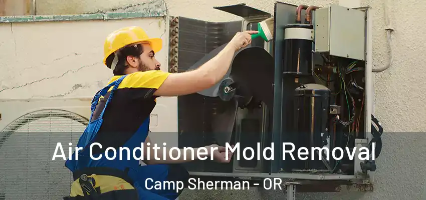  Air Conditioner Mold Removal Camp Sherman - OR