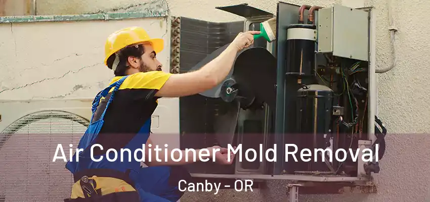  Air Conditioner Mold Removal Canby - OR