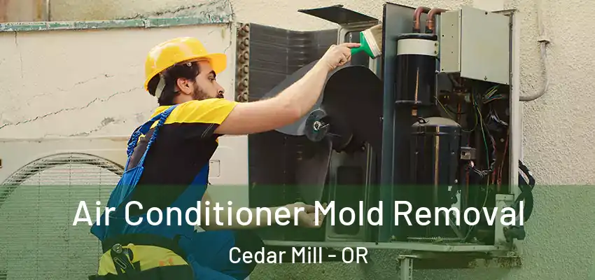  Air Conditioner Mold Removal Cedar Mill - OR