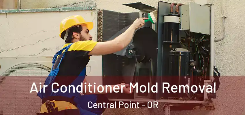  Air Conditioner Mold Removal Central Point - OR