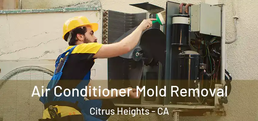  Air Conditioner Mold Removal Citrus Heights - CA