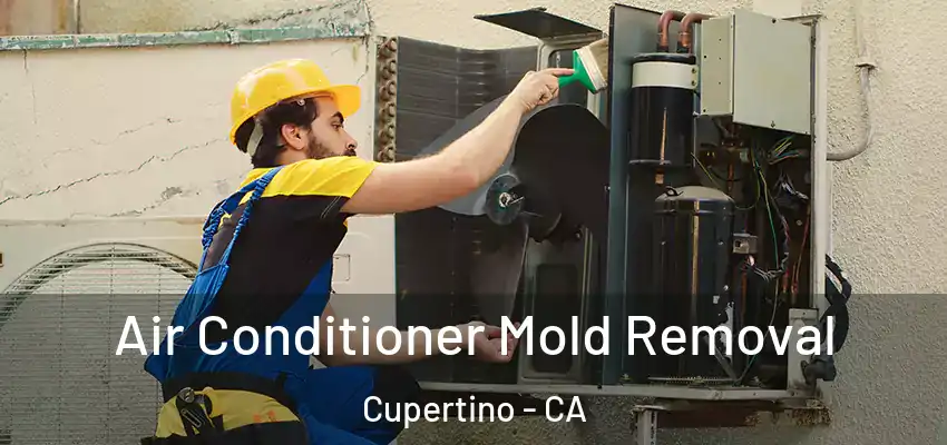  Air Conditioner Mold Removal Cupertino - CA