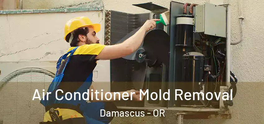  Air Conditioner Mold Removal Damascus - OR