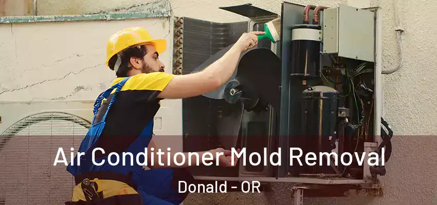  Air Conditioner Mold Removal Donald - OR
