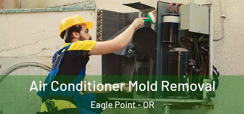  Air Conditioner Mold Removal Eagle Point - OR