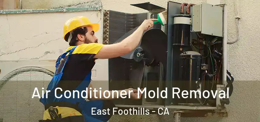  Air Conditioner Mold Removal East Foothills - CA