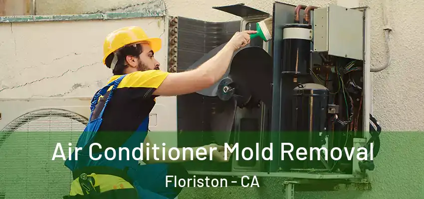 Air Conditioner Mold Removal Floriston - CA
