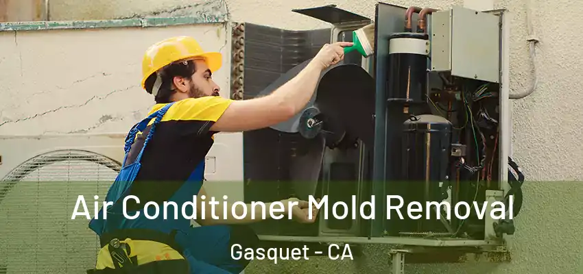  Air Conditioner Mold Removal Gasquet - CA