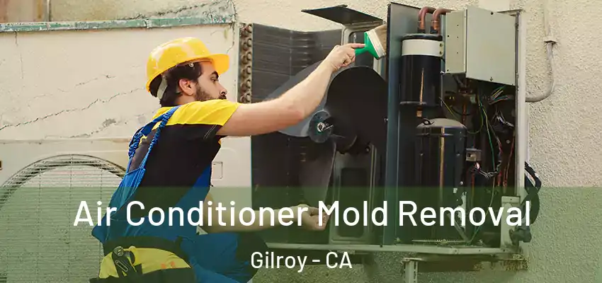  Air Conditioner Mold Removal Gilroy - CA
