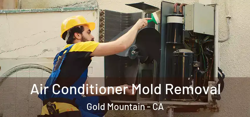 Air Conditioner Mold Removal Gold Mountain - CA
