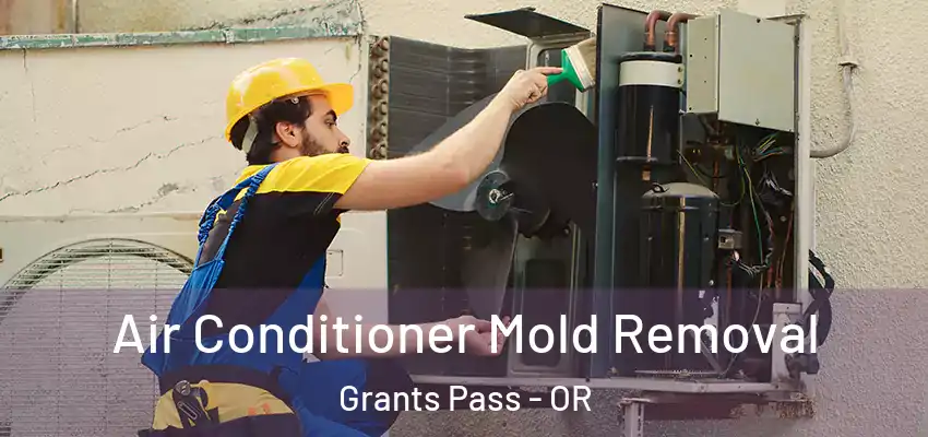 Air Conditioner Mold Removal Grants Pass - OR