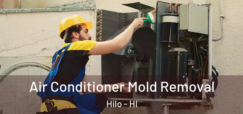 Air Conditioner Mold Removal Hilo - HI