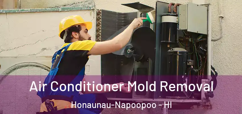  Air Conditioner Mold Removal Honaunau-Napoopoo - HI