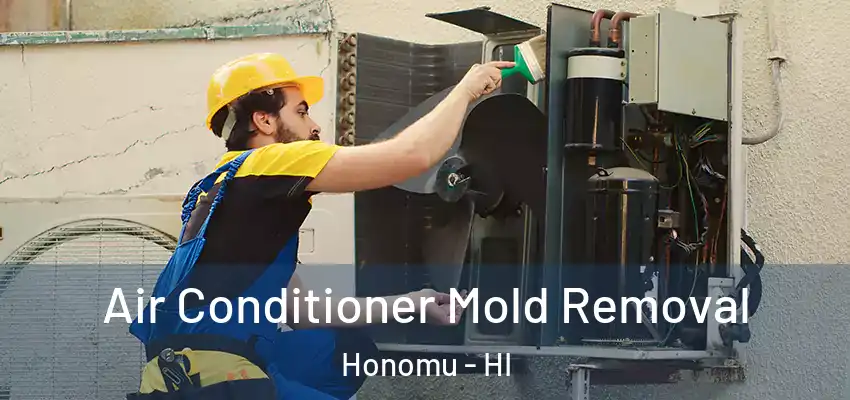  Air Conditioner Mold Removal Honomu - HI