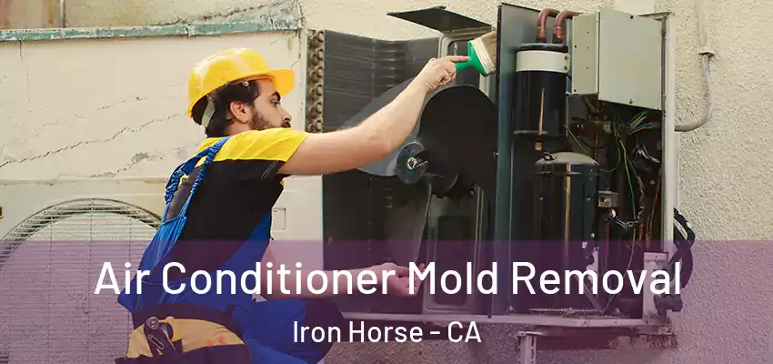  Air Conditioner Mold Removal Iron Horse - CA