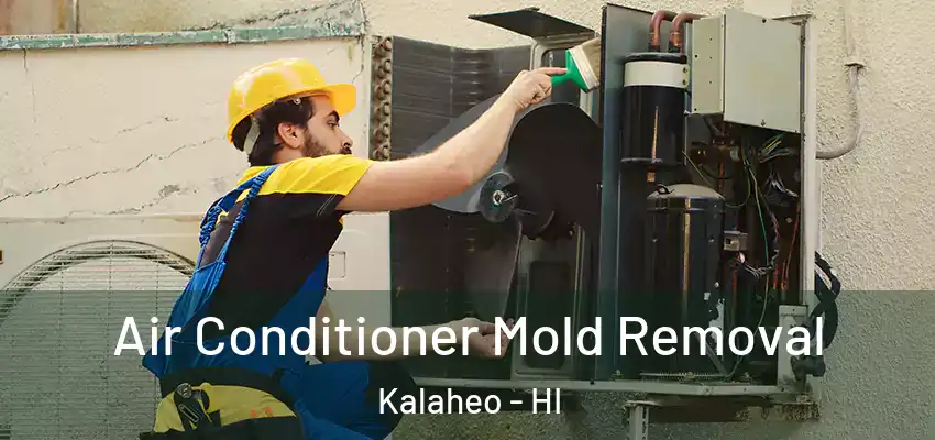  Air Conditioner Mold Removal Kalaheo - HI