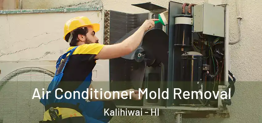  Air Conditioner Mold Removal Kalihiwai - HI