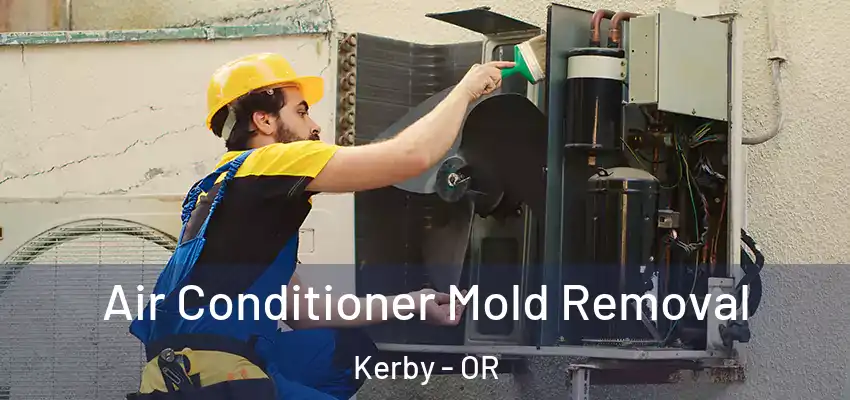  Air Conditioner Mold Removal Kerby - OR