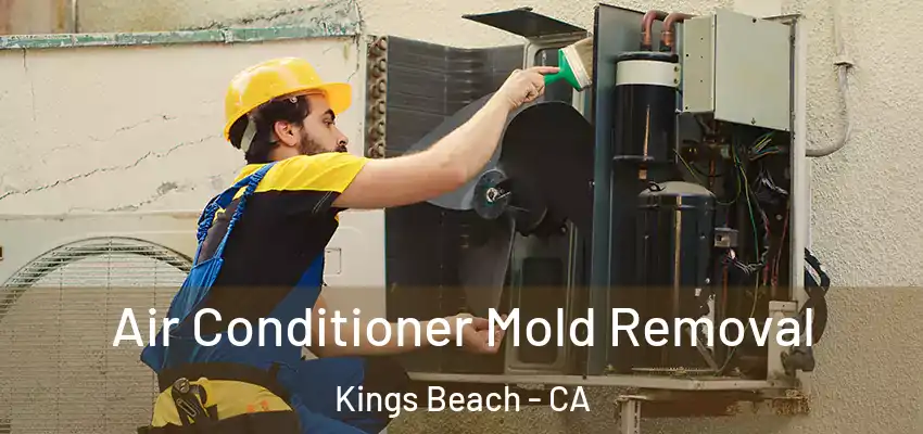 Air Conditioner Mold Removal Kings Beach - CA