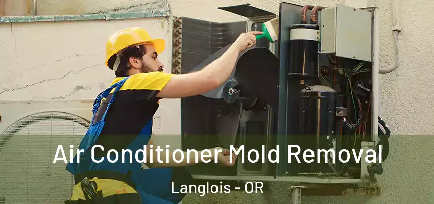  Air Conditioner Mold Removal Langlois - OR