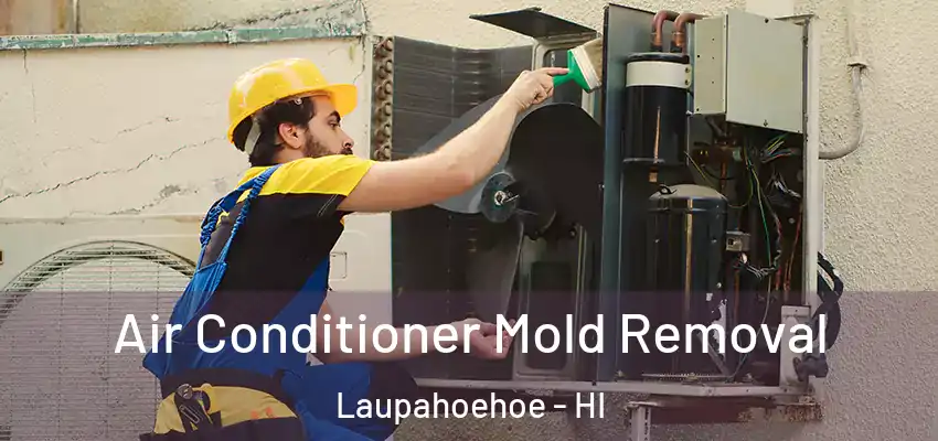  Air Conditioner Mold Removal Laupahoehoe - HI