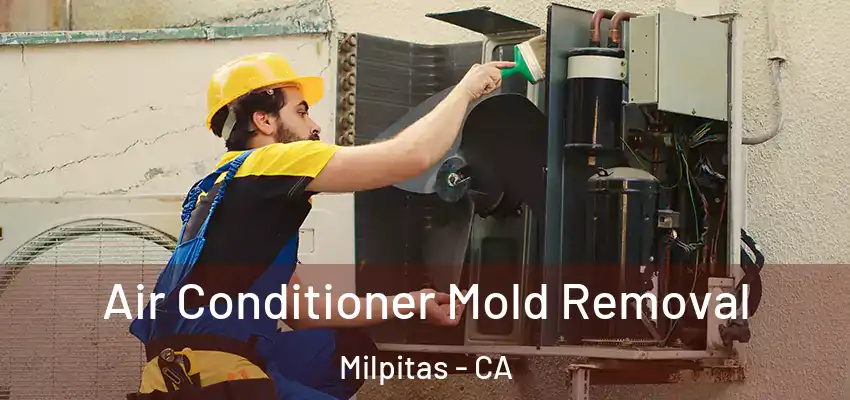  Air Conditioner Mold Removal Milpitas - CA