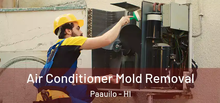  Air Conditioner Mold Removal Paauilo - HI