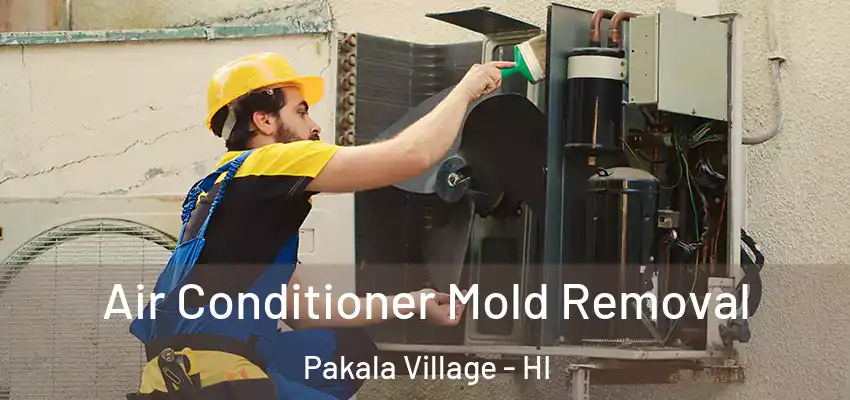  Air Conditioner Mold Removal Pakala Village - HI