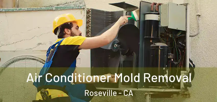 Air Conditioner Mold Removal Roseville - CA