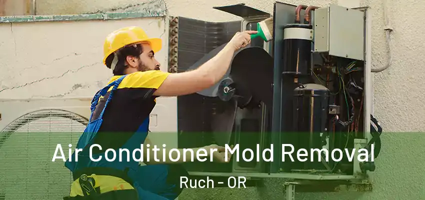  Air Conditioner Mold Removal Ruch - OR