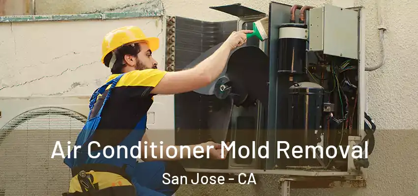  Air Conditioner Mold Removal San Jose - CA