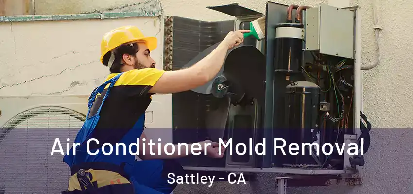 Air Conditioner Mold Removal Sattley - CA
