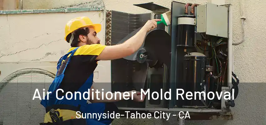  Air Conditioner Mold Removal Sunnyside-Tahoe City - CA