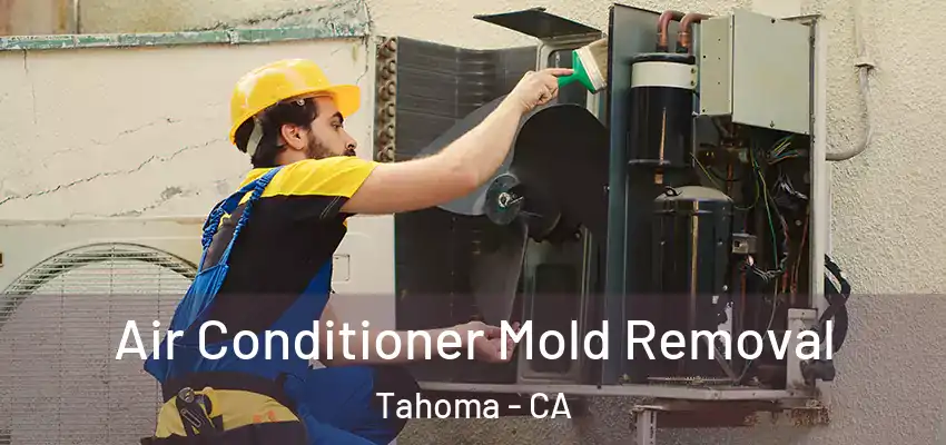  Air Conditioner Mold Removal Tahoma - CA