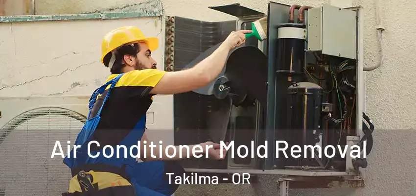  Air Conditioner Mold Removal Takilma - OR