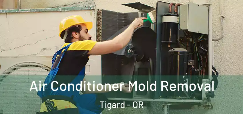  Air Conditioner Mold Removal Tigard - OR