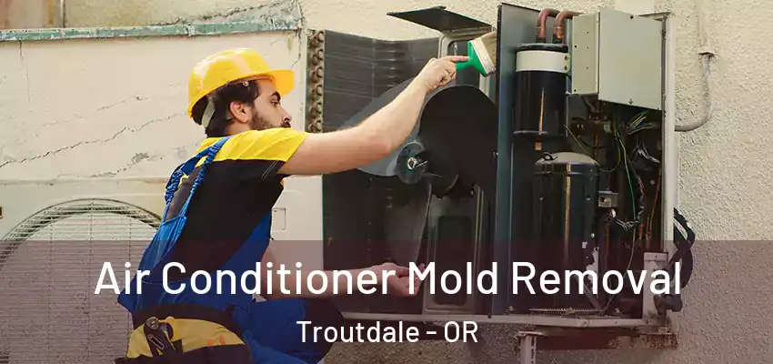  Air Conditioner Mold Removal Troutdale - OR