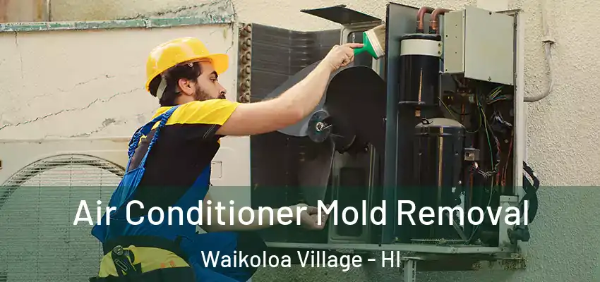  Air Conditioner Mold Removal Waikoloa Village - HI