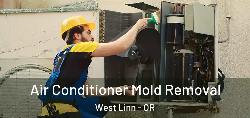  Air Conditioner Mold Removal West Linn - OR