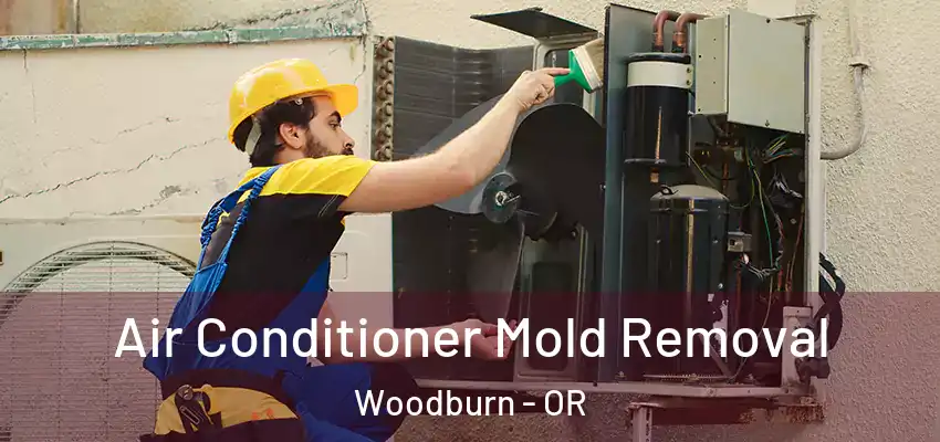  Air Conditioner Mold Removal Woodburn - OR