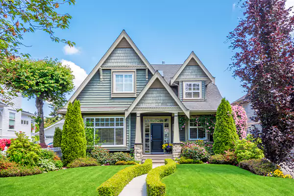 Black Mold Clean Up in Hilo, HI