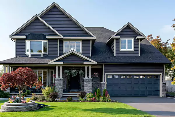 Mold Cleanup in Hilo, HI