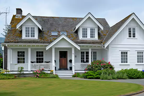 Mold Inspection Services in Hilo, HI