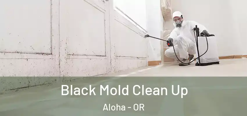  Black Mold Clean Up Aloha - OR