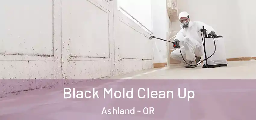  Black Mold Clean Up Ashland - OR