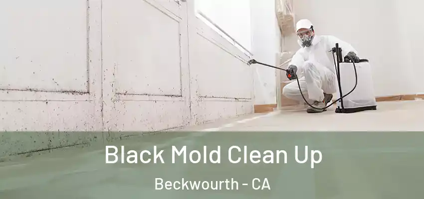  Black Mold Clean Up Beckwourth - CA