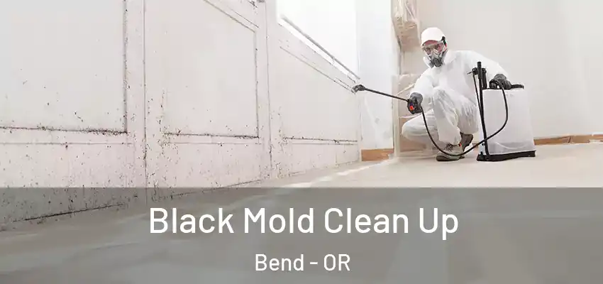  Black Mold Clean Up Bend - OR